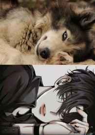 纸醉金迷田佩芝